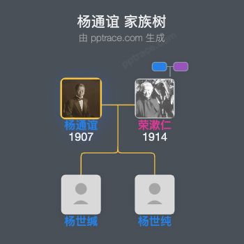 杨通谊 家族树全览