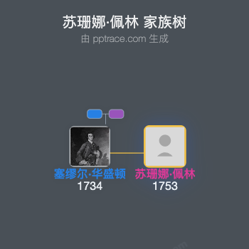 苏珊娜·佩林家族树全览