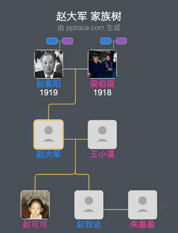 赵大军 家族树全览