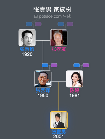 张壹男 家族树全览