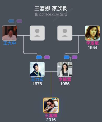 王嘉娜 家族树全览