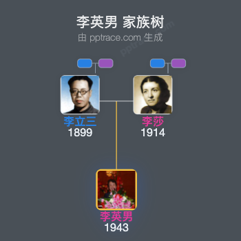 李英男 家族树全览