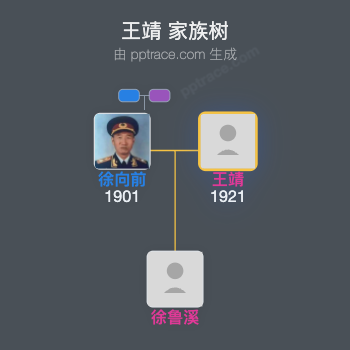 王靖 家族树全览