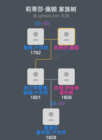 莉蒂莎·佩顿家族树全览