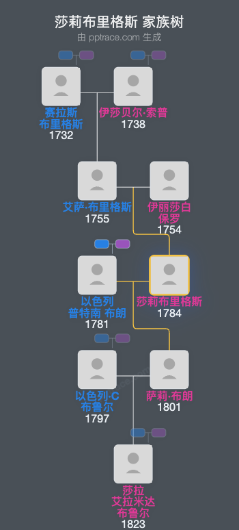 莎莉布里格斯家族树全览
