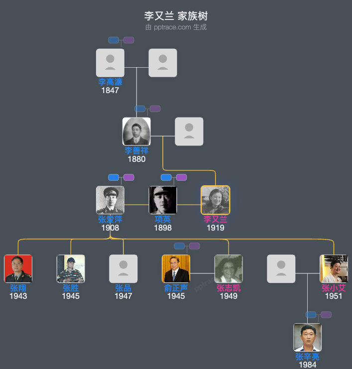 李又兰 家族树全览