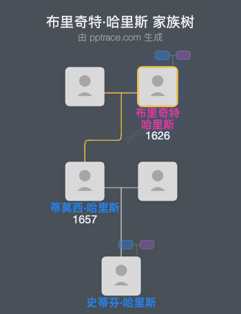 布里奇特·哈里斯家族树全览