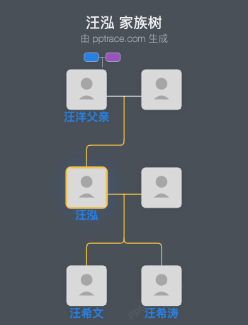 汪泓 家族树全览