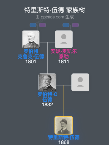 特里斯特·伍德家族树全览