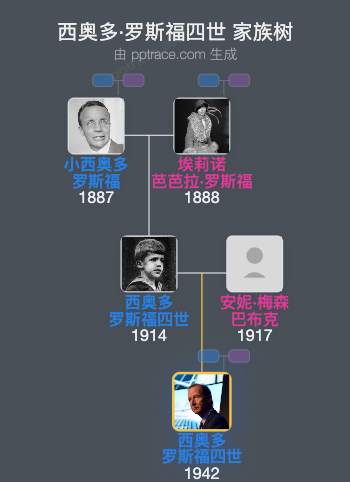 西奥多·罗斯福四世家族树全览