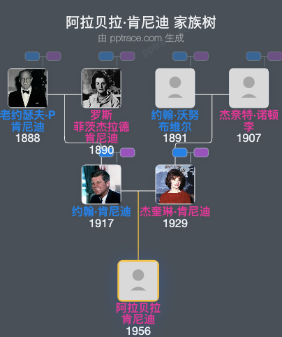 阿拉贝拉·肯尼迪家族树全览