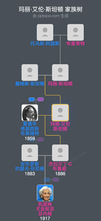 玛丽·艾伦·斯坦顿家族树全览