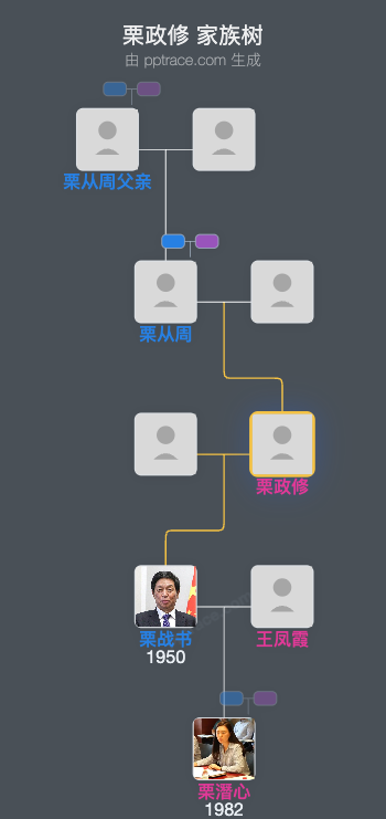 栗政修 家族树全览
