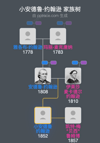 小安德鲁·约翰逊家族树全览