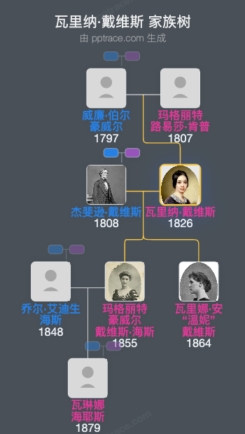 瓦里纳·戴维斯家族树全览