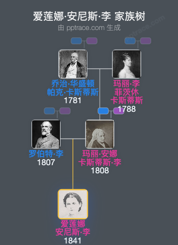 爱莲娜·安尼斯·李家族树全览