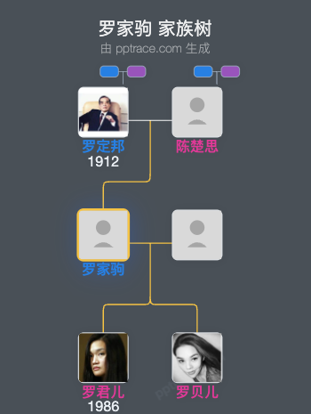 罗家驹 家族树全览