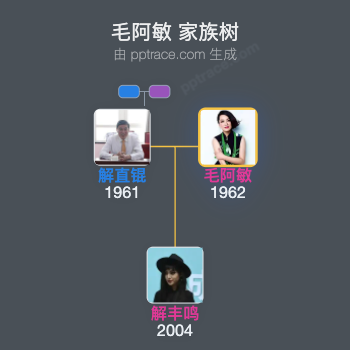 毛阿敏 家族树全览