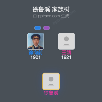 徐鲁溪 家族树全览