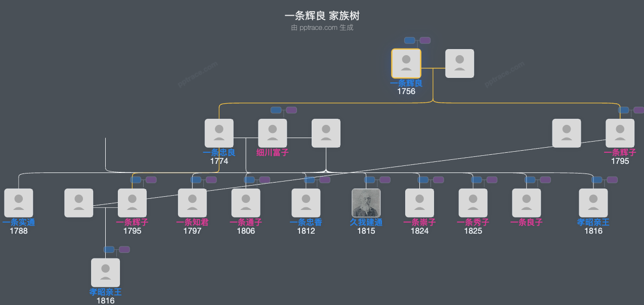 一条辉良家族树全览