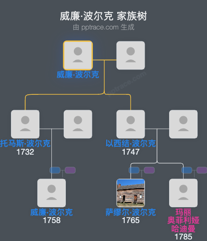 威廉·波尔克家族树全览