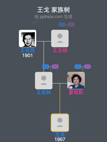 王戈 家族树全览
