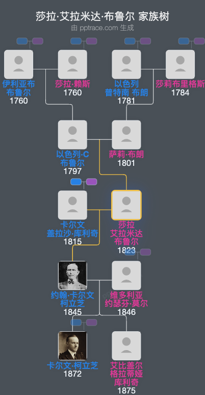莎拉·艾拉米达·布鲁尔家族树全览