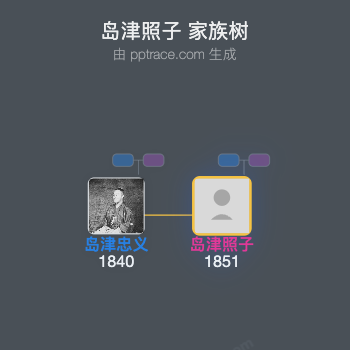 岛津照子家族树全览