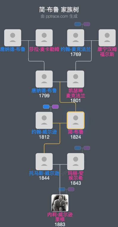 简·布鲁家族树全览