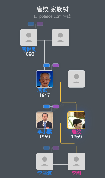 唐纹 家族树全览