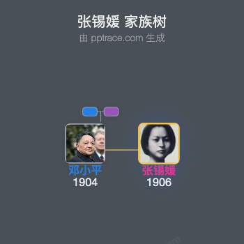 张锡媛 家族树全览