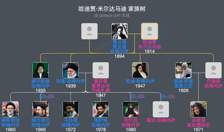 哈迪贾·米尔达马迪家族树全览