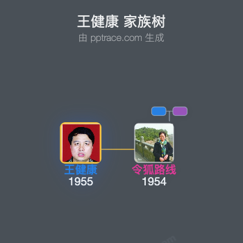 王健康 家族树全览