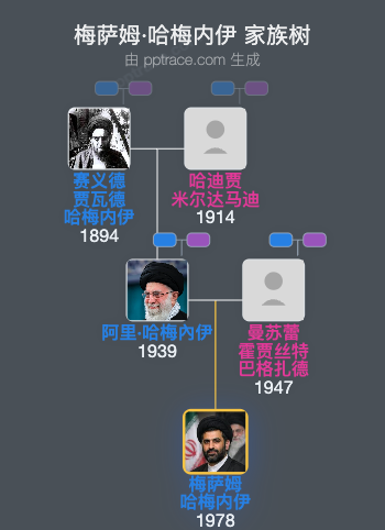 梅萨姆·哈梅内伊家族树全览