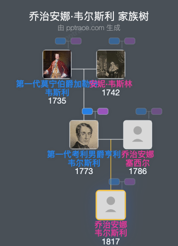 乔治安娜·韦尔斯利家族树全览