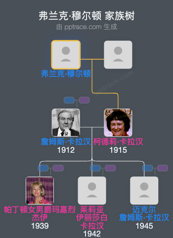 弗兰克·穆尔顿家族树全览