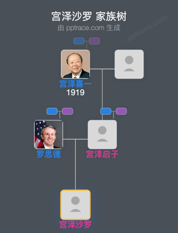 宫泽沙罗家族树全览