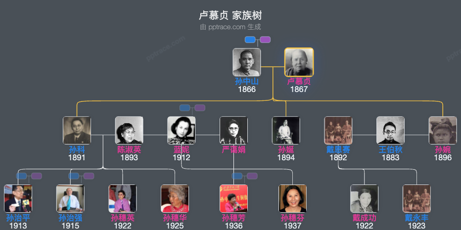 卢慕贞 家族树全览