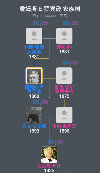 詹姆斯·E·罗宾逊家族树全览
