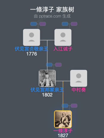 一條淳子家族树全览