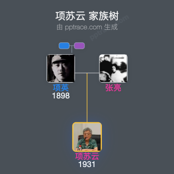 项苏云 家族树全览