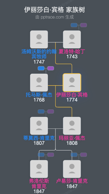 伊丽莎白·宾格家族树全览