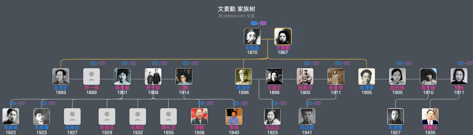 文素勤 家族树全览