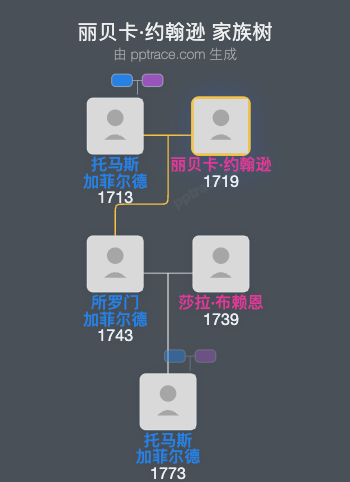 丽贝卡·约翰逊家族树全览