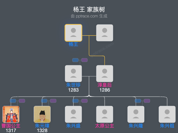 杨王家族树全览