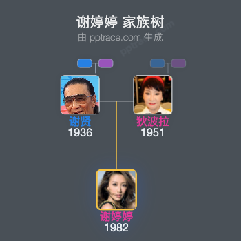 谢婷婷 家族树全览