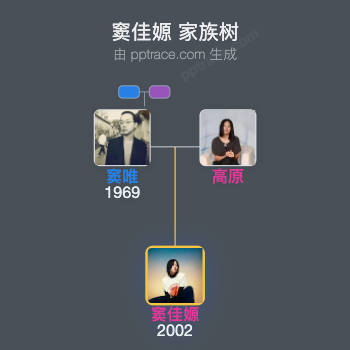 窦佳嫄 家族树全览