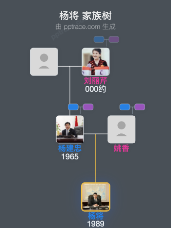杨将 家族树全览