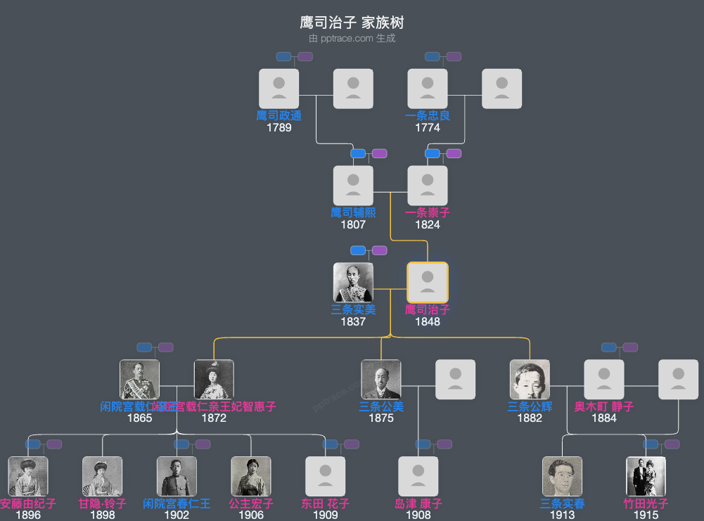 鹰司治子家族树全览