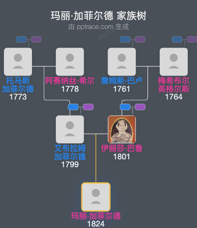 玛丽·加菲尔德家族树全览